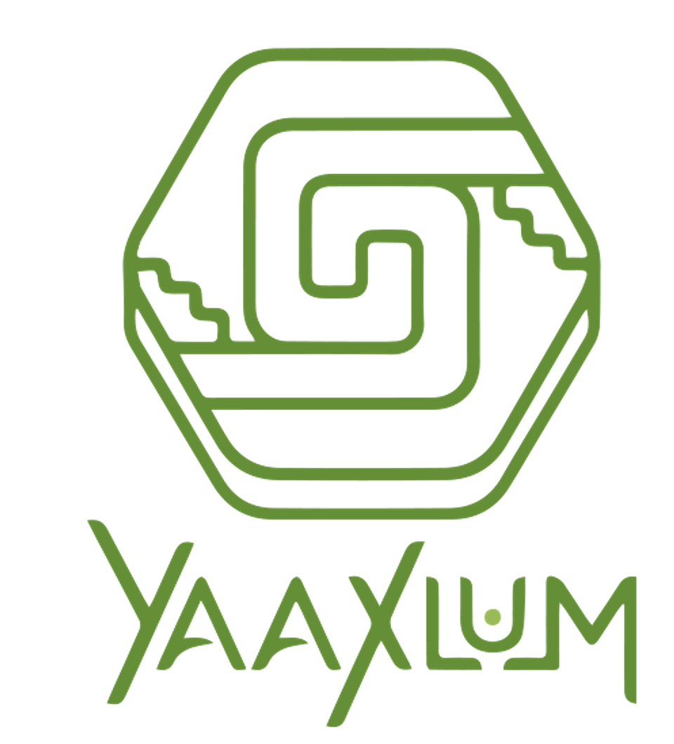 Oasis Yaaxlum